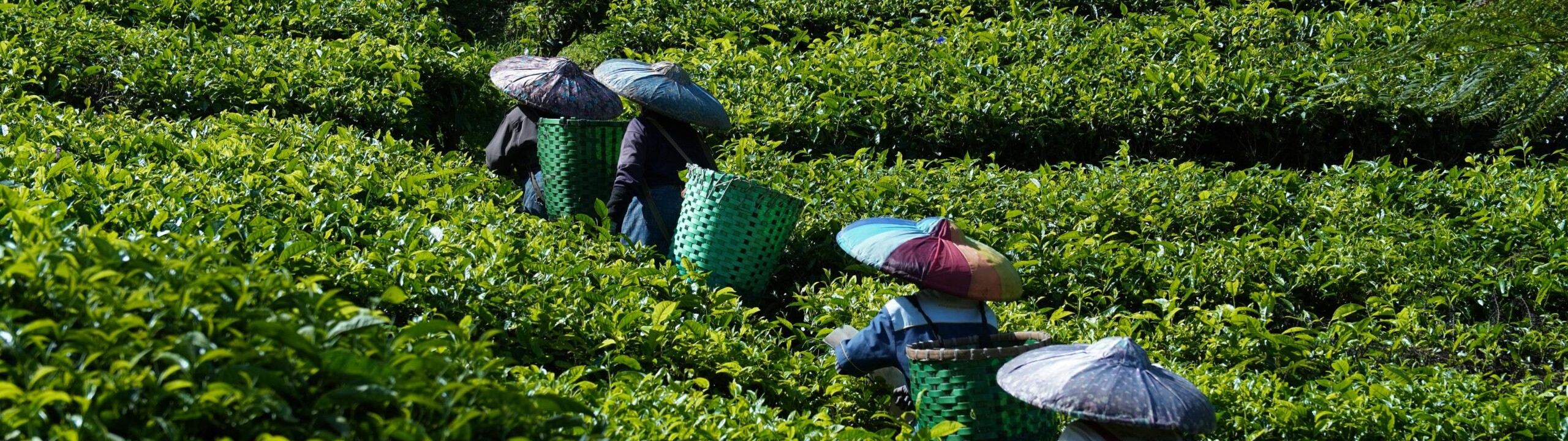 Pexels Ali 123 62577311 15275097 Scaled 1